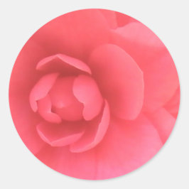 Roze Camellia Ronde Sticker