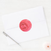 Roze Camellia Ronde Sticker (Envelop)