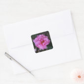 Roze Camellia-Stickers Vierkante Sticker (Envelop)
