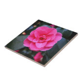 Roze Camellia Tegeltje (Zijkant)