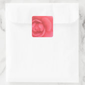 Roze Camellia Vierkante Sticker (Tas)