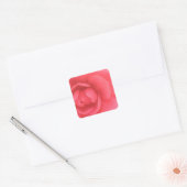 Roze Camellia Vierkante Sticker (Envelop)