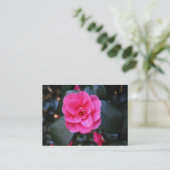 Roze Camellia Visitekaartje (Staand voorkant)