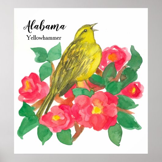 Roze Camellias Bird Yellowhammer Waterverf Poster (Voorkant)