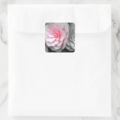 Roze Camellias-foto Vierkante Sticker (Tas)