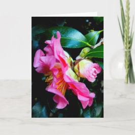 "Roze Camellias." Wenskaart Kaart