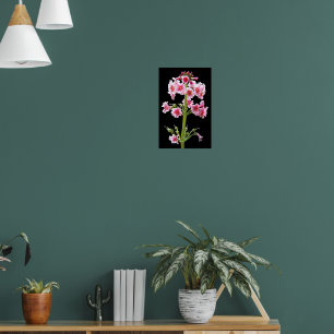 Roze Candelabra Primula op Zwarte Bloemen Poster