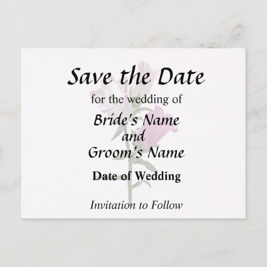 Roze Canterbury Bells Aankondigingskaart (Voorkant)