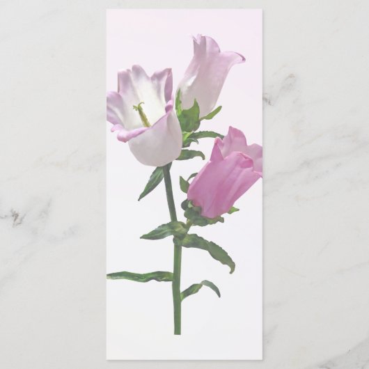 Roze Canterbury Bells Menu (Achterkant)