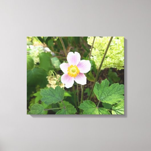 Roze Canvasprint Wilde Bloem | Botanische Bloemstu Canvas Afdruk (Voorkant)