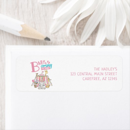 Roze Carnaval Circus Baby Shower Retouradres Etiket (Insitu)