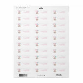 Roze Carnaval Circus Baby Shower Retouradres Etiket (Full Sheet)