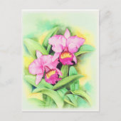 Roze Catleya Orchid Flower Art - Multi Briefkaart (Voorkant)