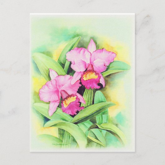 Roze Catleya Orchid Flower Art - Multi Briefkaart (Voorkant)