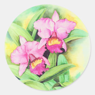 Roze Catleya Orchidee Bloem Kunst - Multi Ronde Sticker