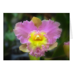 Roze Cattleya Orchid Kaart