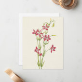 Roze centrum door Mary Vaux Walcott Notitiekaartje (Voorkant / Achterkant in situ)