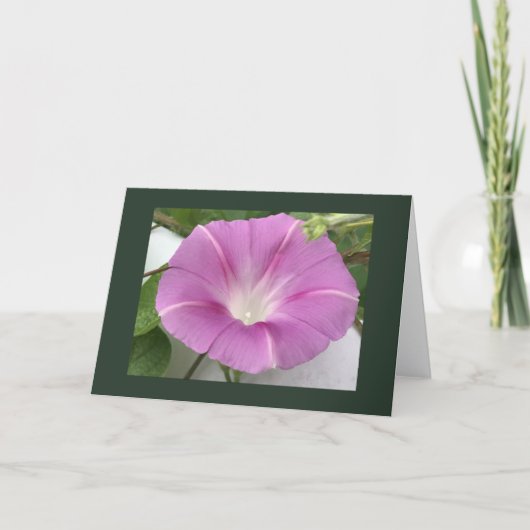 Roze Charm Winde Roos Blank Kaart (Voorkant)