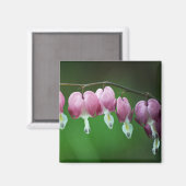 Roze Charms Magnet (Voorkant / Achterkant)