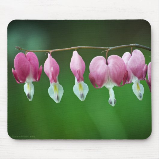 Roze Charms Muismat (Voorkant)