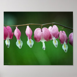 Roze Charms Print