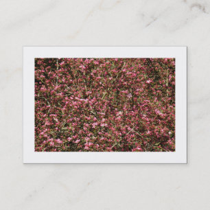 Roze Cherry Blossom 02 (Grenzen) Visitekaartje