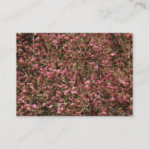 Roze Cherry Blossom 02 Visitekaartje