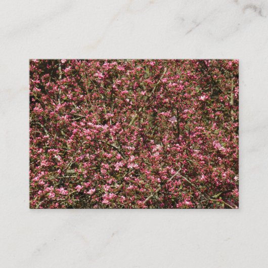 Roze Cherry Blossom 02 Visitekaartje (Voorkant)