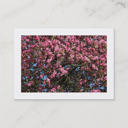 Roze Cherry Blossom (Borded) Visitekaartje (Voorkant)