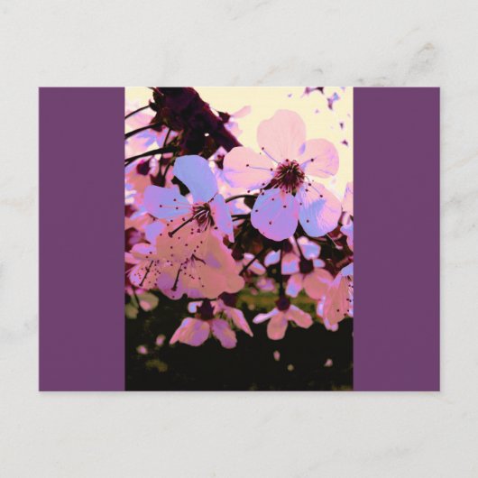 Roze Cherry Blossom Briefkaart (Voorkant)