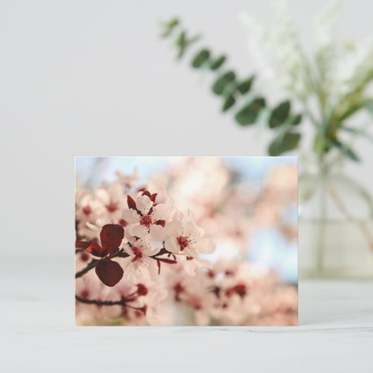Roze Cherry Blossom Briefkaart (Staand voorkant)