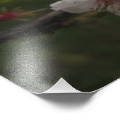 Roze Cherry Blossom Floral Foto Afdruk (Hoek)