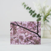 Roze Cherry Blossom Flower Canopy Briefkaart (Staand voorkant)