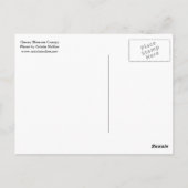 Roze Cherry Blossom Flower Canopy Briefkaart (Achterkant)