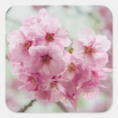 Roze Cherry Blossom Flower, Japan Photography Vierkante Sticker (Voorkant)