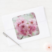 Roze Cherry Blossom Flower, Japan Photography Vierkante Sticker (Envelop)