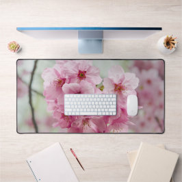 Roze Cherry Blossom Flower, Natuur Photography Bureaumat