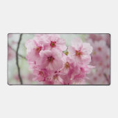 Roze Cherry Blossom Flower, Natuur Photography Bureaumat (Voorkant)