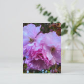 Roze Cherry Blossom Flowers Briefkaart (Staand voorkant)