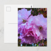 Roze Cherry Blossom Flowers Briefkaart (Voorkant / Achterkant)
