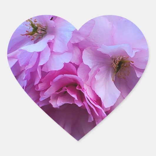 Roze Cherry Blossom Flowers Hart Sticker (Voorkant)