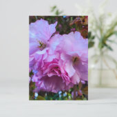 Roze Cherry Blossom Flowers Kaart (Staand voorkant)