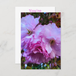 Roze Cherry Blossom Flowers Kaart