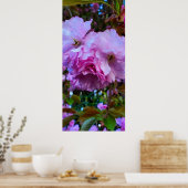 Roze Cherry Blossom Flowers Poster (Keuken)