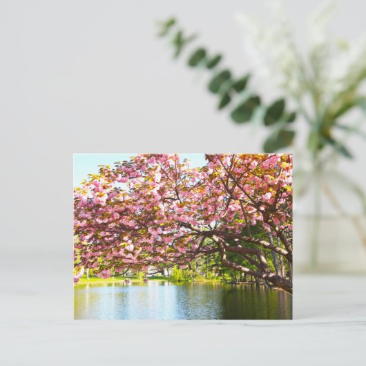 Roze Cherry Blossom in het bloem Briefkaart (Staand voorkant)