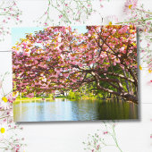 Roze Cherry Blossom in het bloem Briefkaart