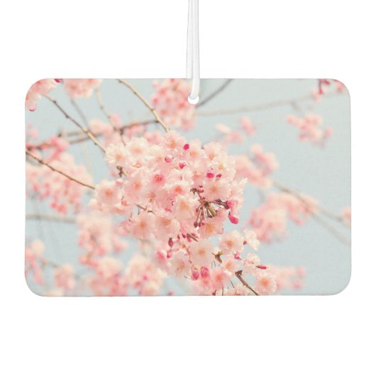 Roze Cherry Blossom Luchtverfrisser (Voorkant)