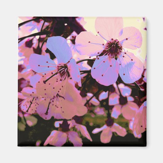 Roze Cherry Blossom Magneet (Voorkant)