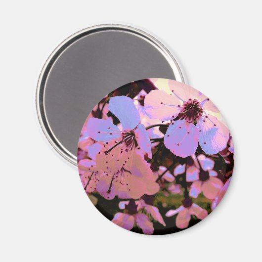Roze Cherry Blossom Magneet (Voorkant / Achterkant)