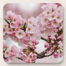 Roze Cherry Blossom Onderzetter Set
